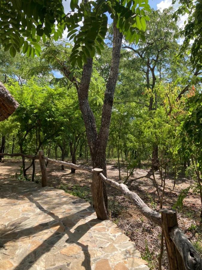 Lemara Eco Camp Hotel Kisaki Екстериор снимка